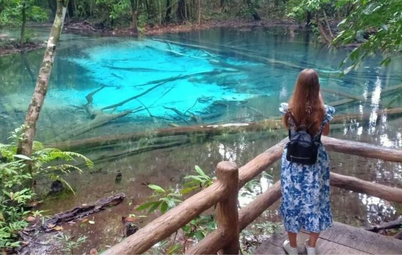 Krabi - Emerald Pool & Hot Springs, Tiger Cave Temple Tour