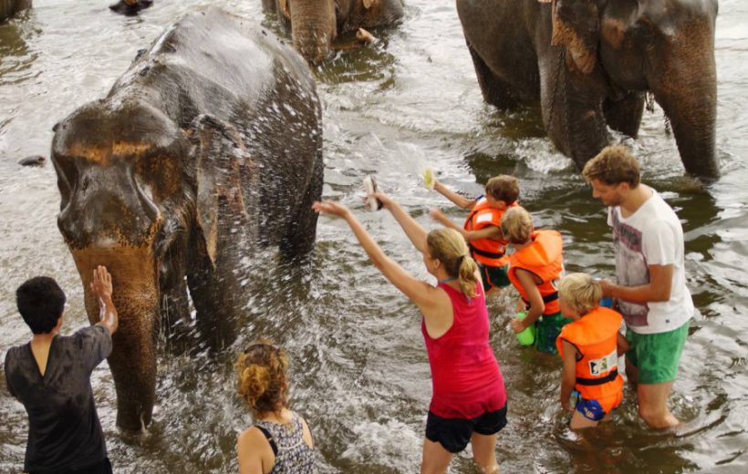 Elephant Care & River Kwai Adventure - Private Tour from Bangkok